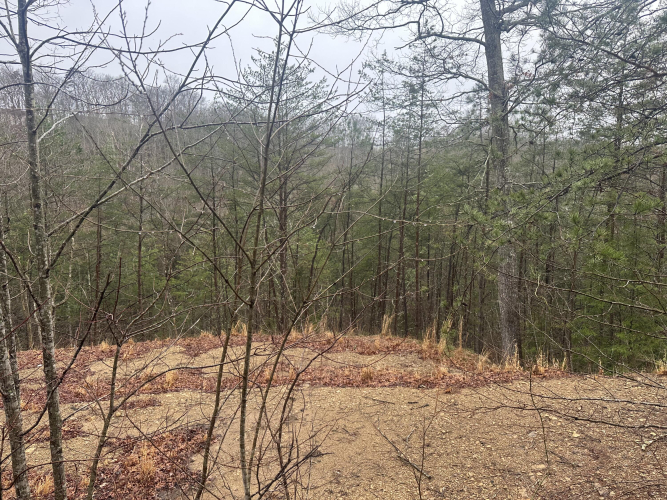 Listing Image 37