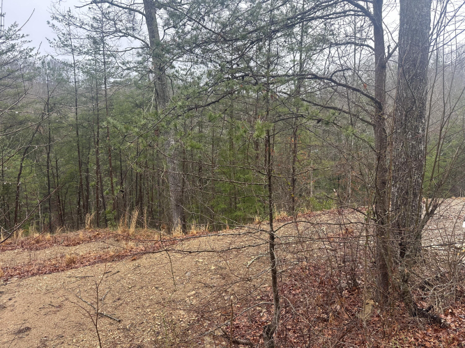 Listing Image 38