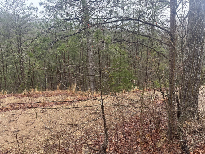 Listing Image 39