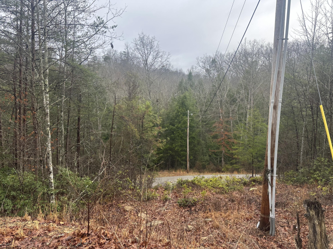 Listing Image 41