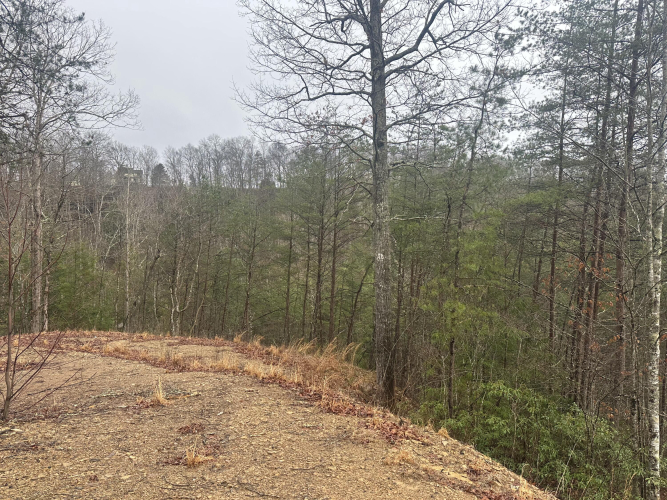 Listing Image 42
