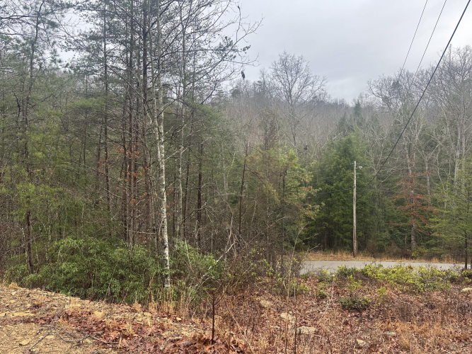 Listing Image 43