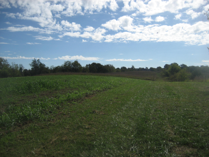 Listing Image 17
