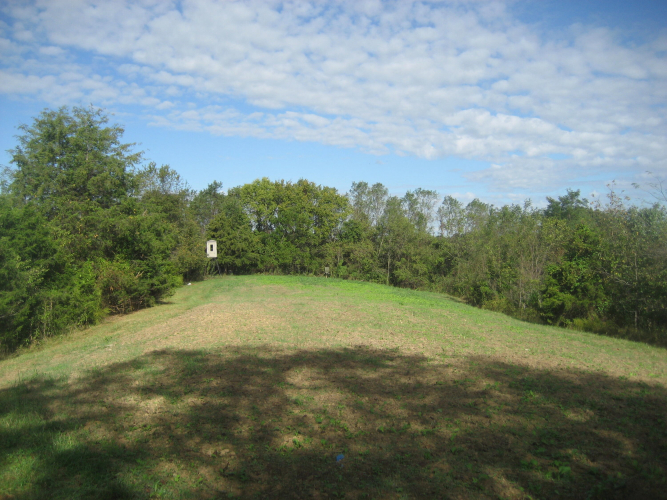 Listing Image 18