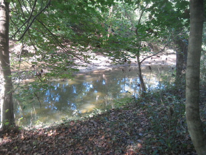 Listing Image 24