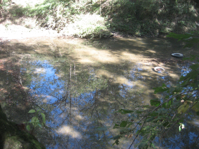 Listing Image 26