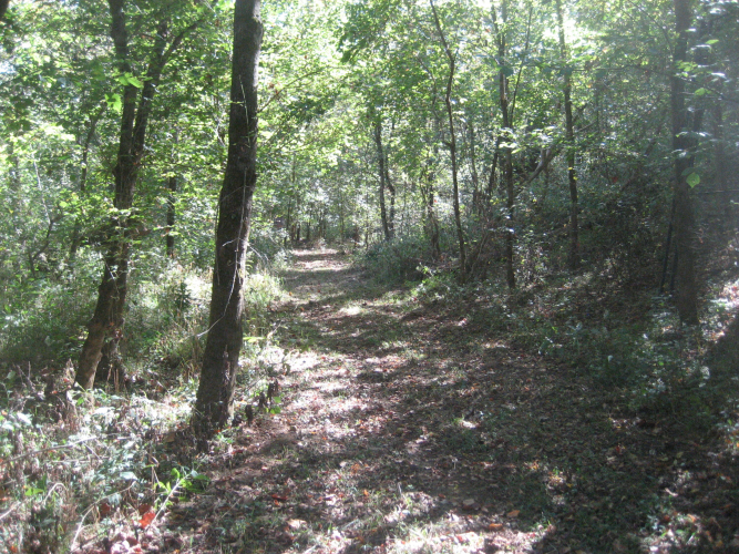 Listing Image 27