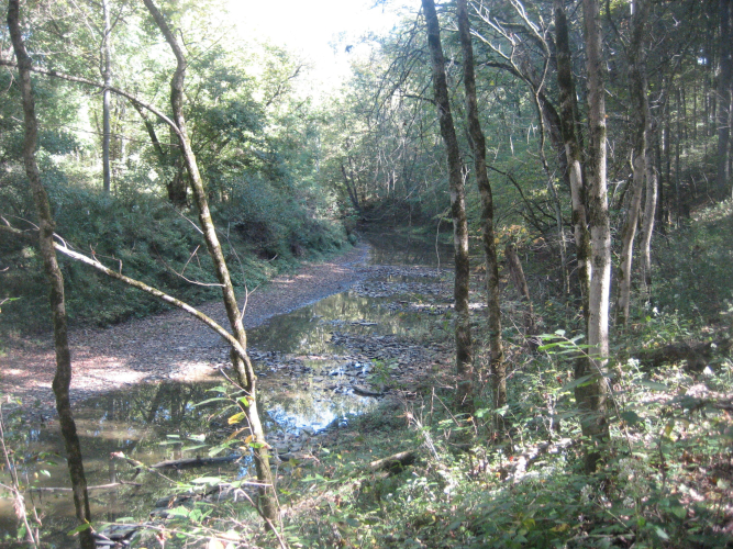 Listing Image 28