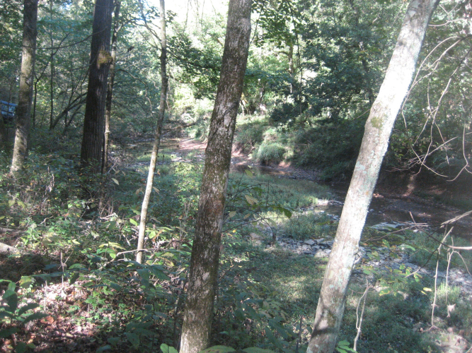 Listing Image 29