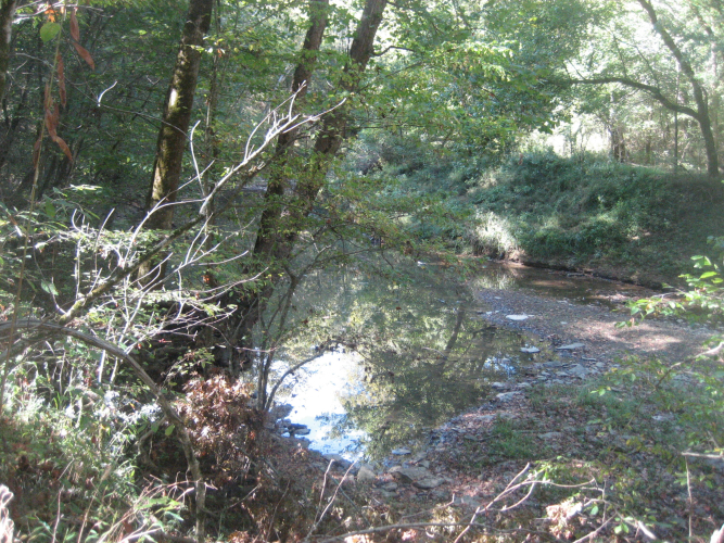Listing Image 30