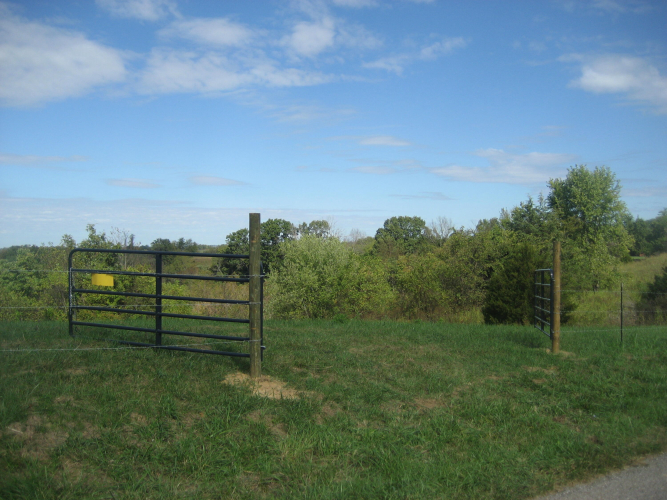 Listing Image 32