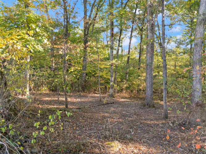 Listing Image 59