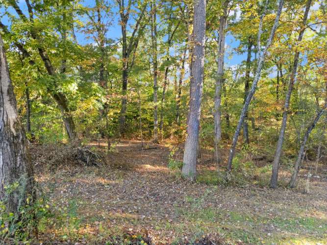 Listing Image 61