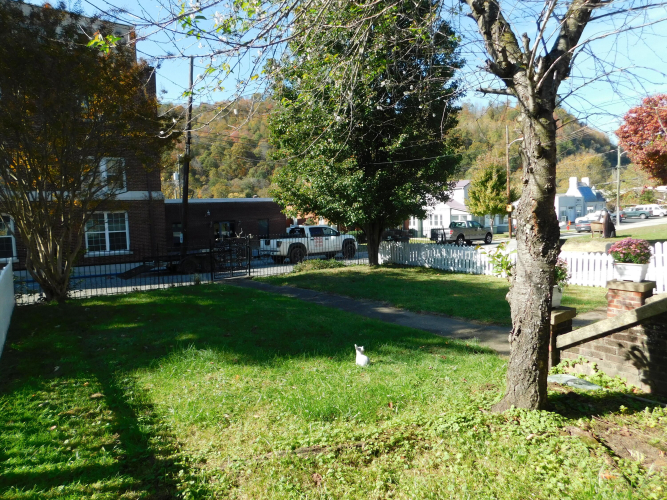 Listing Image 82