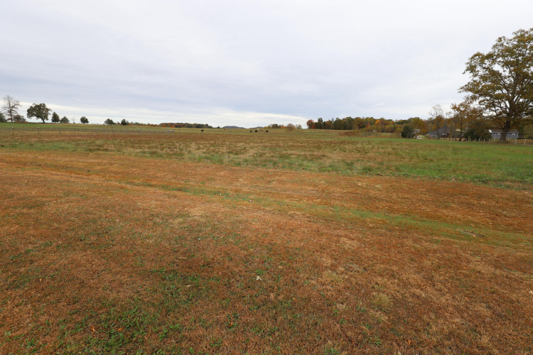 Listing Image 29