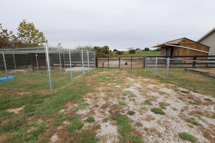 Listing Image 40
