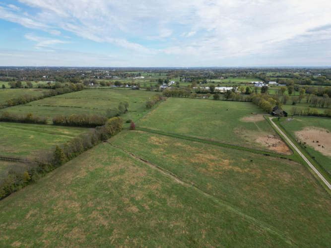 Listing Image 29