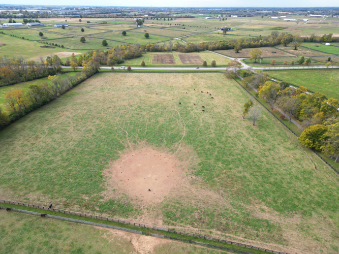 Listing Image 32