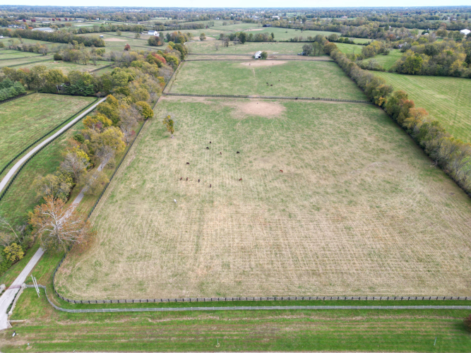 Listing Image 33