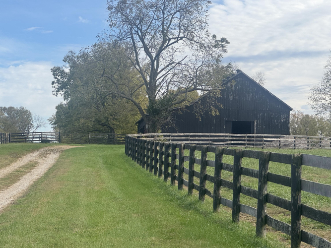 Listing Image 40