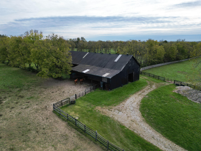 Listing Image 42