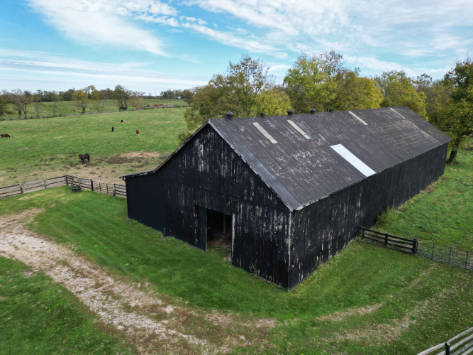 Listing Image 43