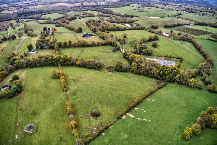 Listing Image 63