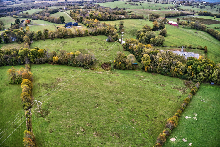 Listing Image 64
