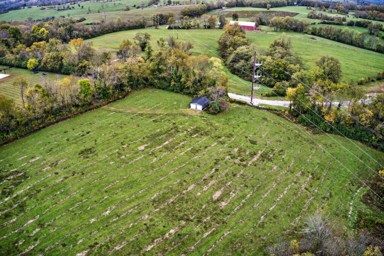 Listing Image 65
