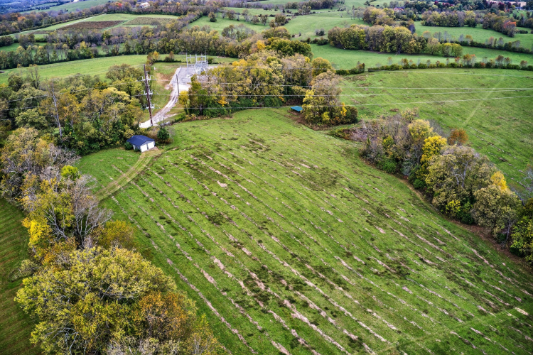 Listing Image 66