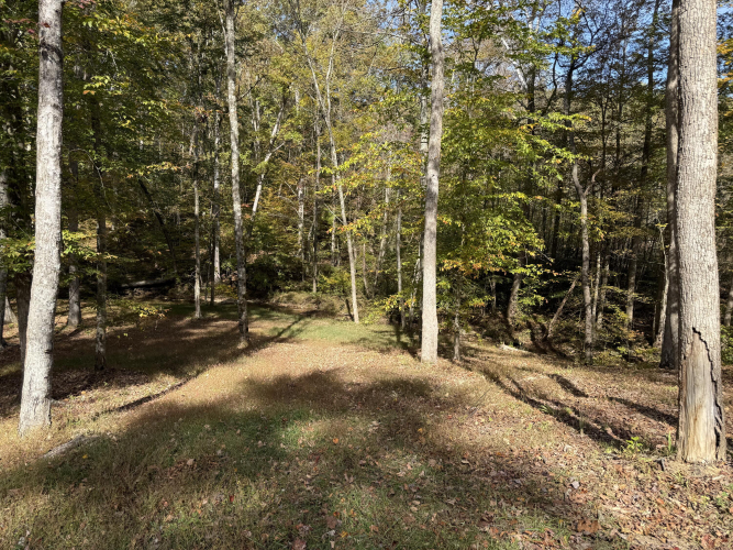 Listing Image 14