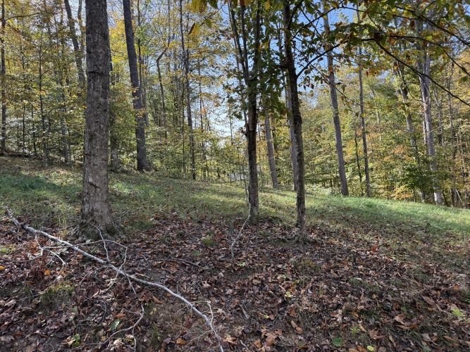 Listing Image 4