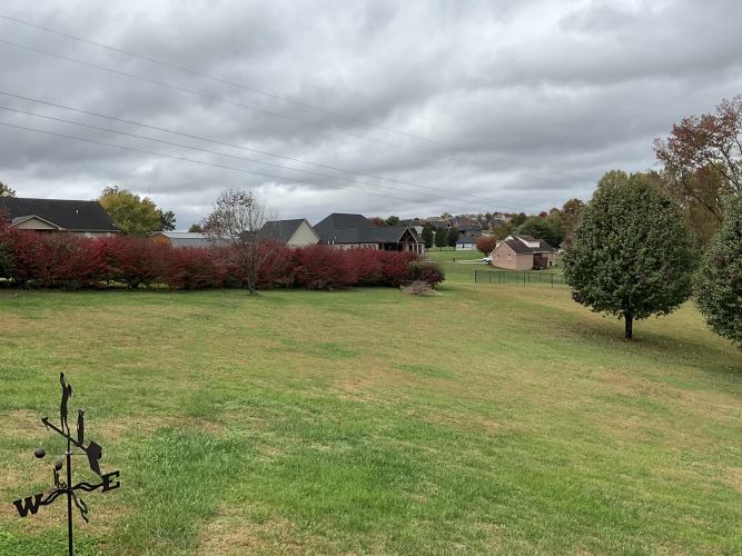 Listing Image 101