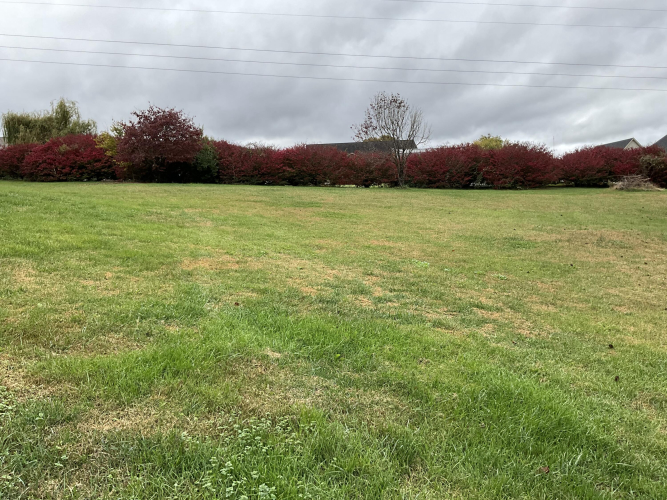Listing Image 103