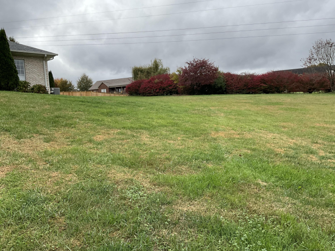 Listing Image 104