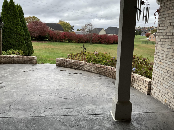 Listing Image 100