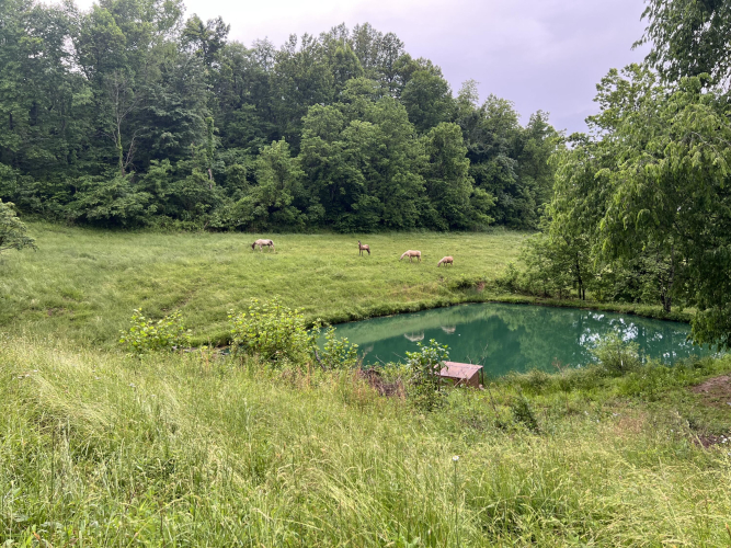 Listing Image 11