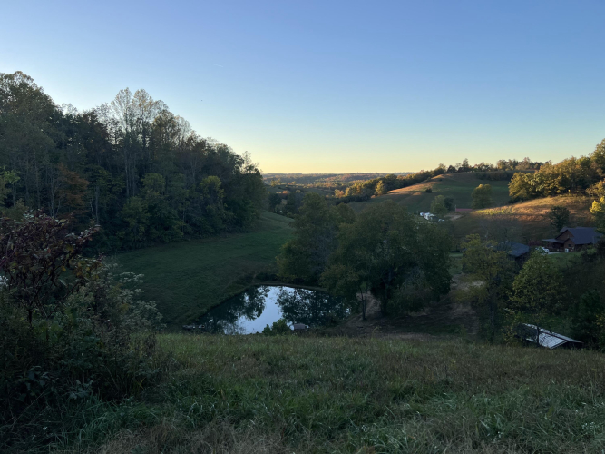Listing Image 57
