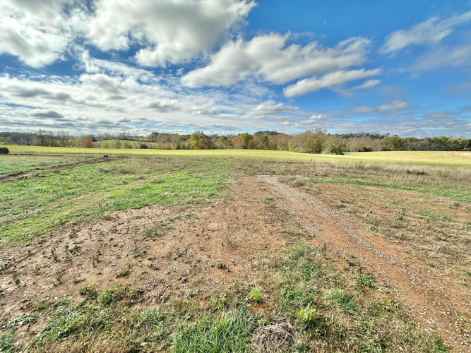 Listing Image 56