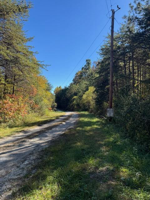 Listing Image 16