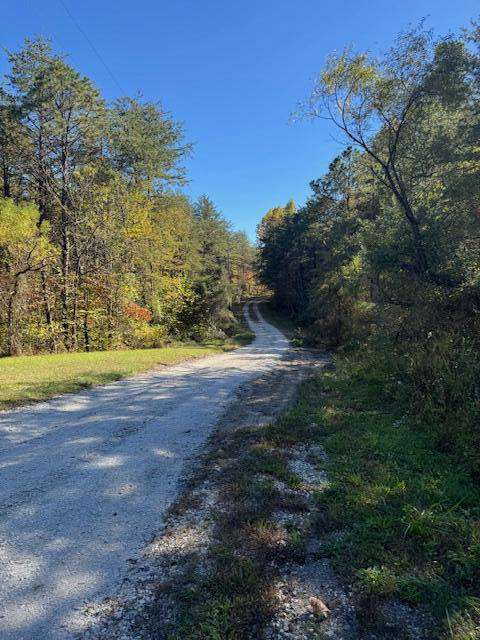 Listing Image 18