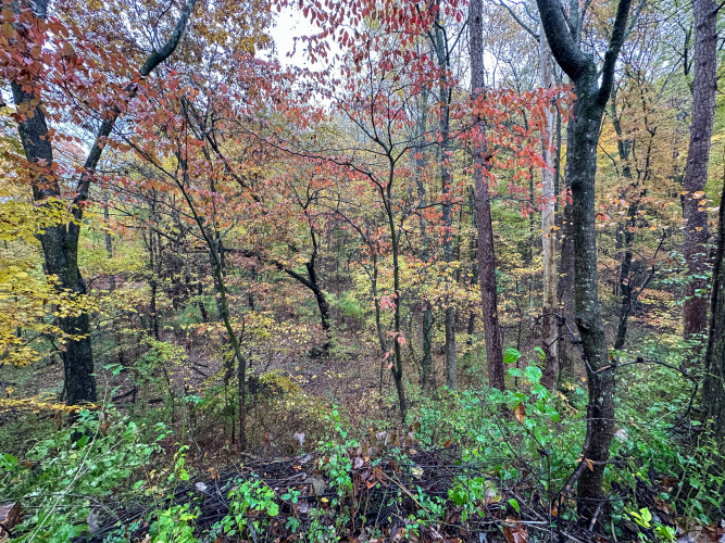 Listing Image 56