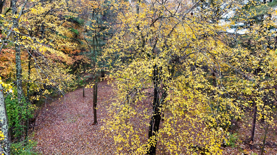 Listing Image 67