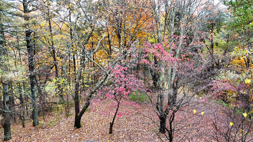 Listing Image 68