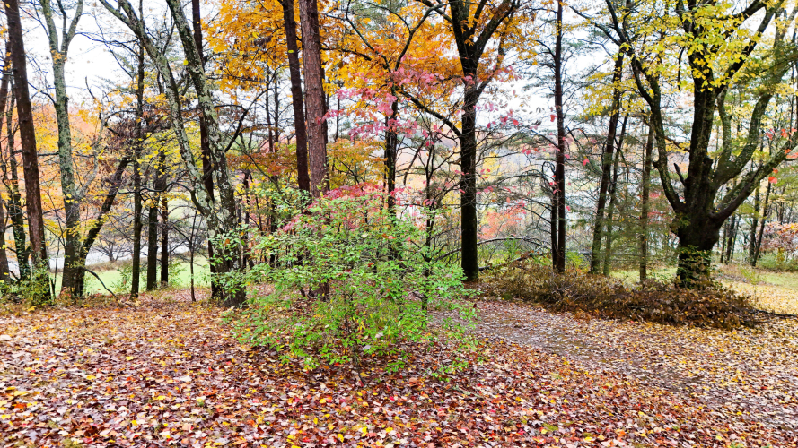 Listing Image 72