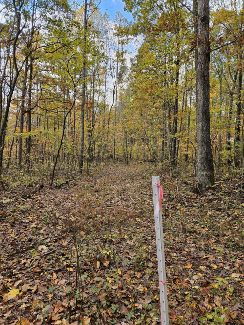 Listing Image 67