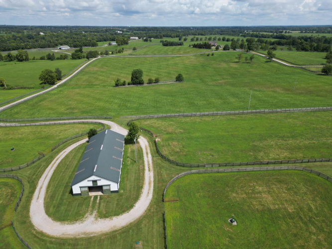 Listing Image 16