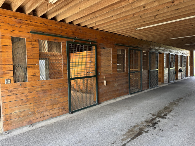 Listing Image 24