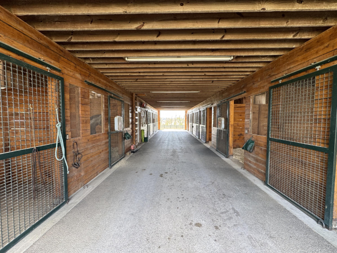 Listing Image 25