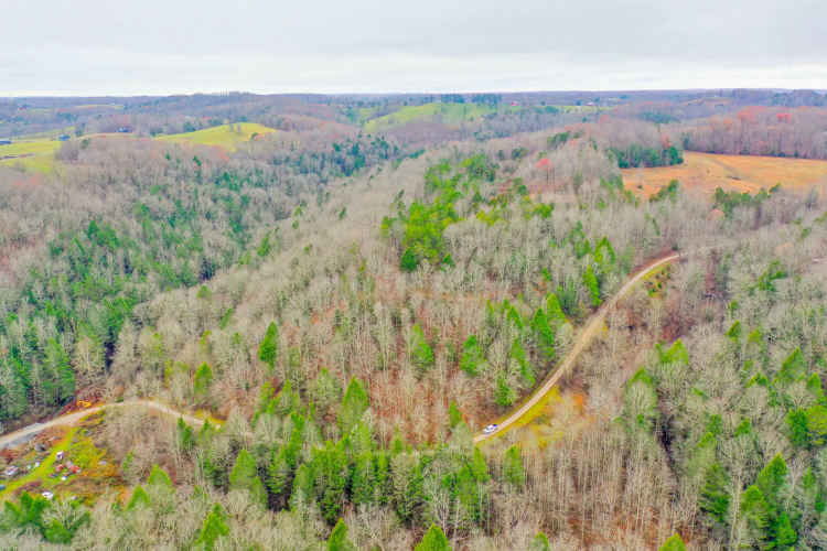 Listing Image 13